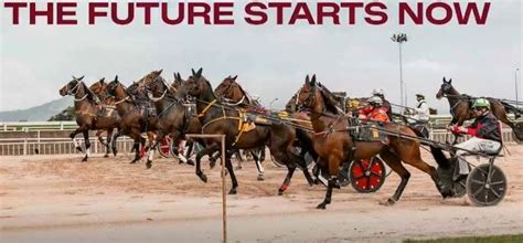 harness racing nz|HRNZ: The Future Starts Now! .